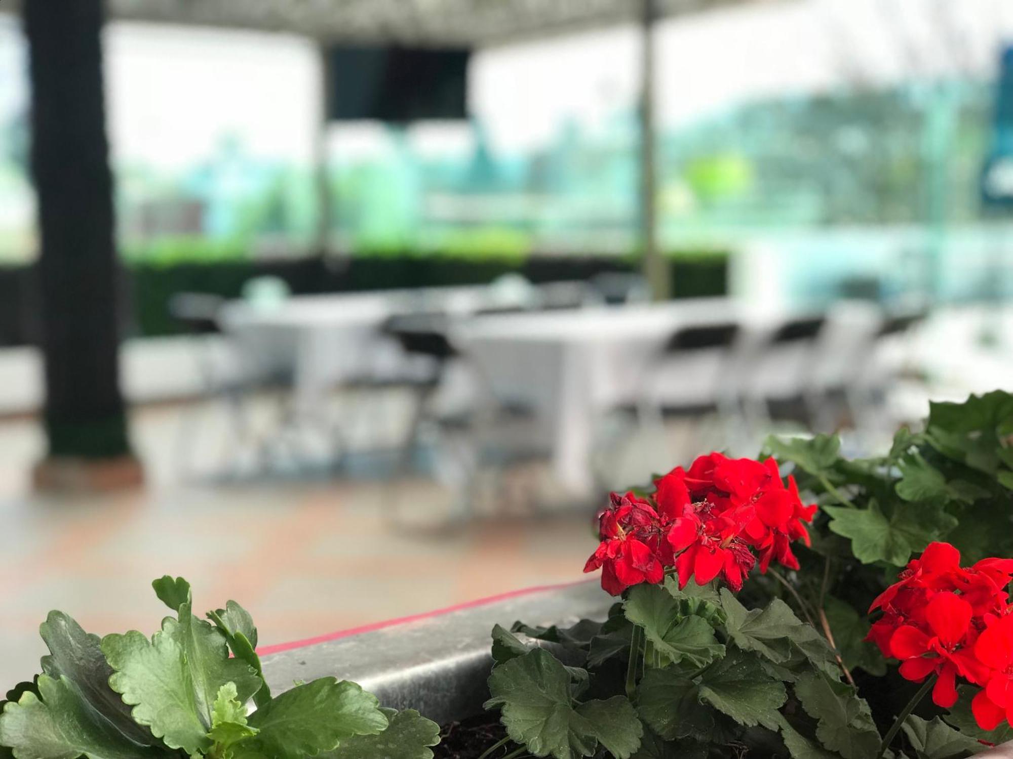Hotel Malinalli Уамантла Экстерьер фото